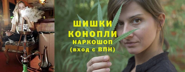 сатива Майский