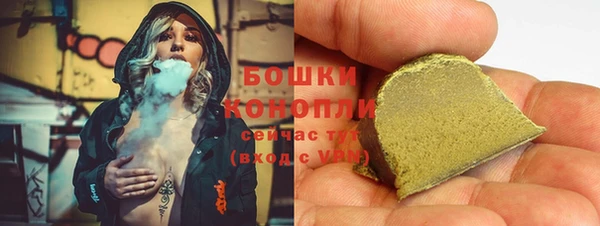 хмурый Магас