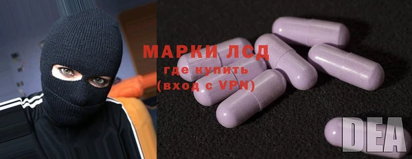 хмурый Магас