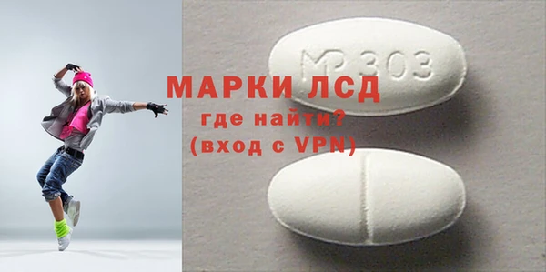 хмурый Магас