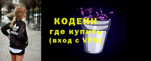 хмурый Магас