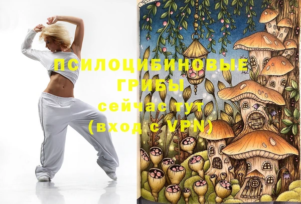 хмурый Магас