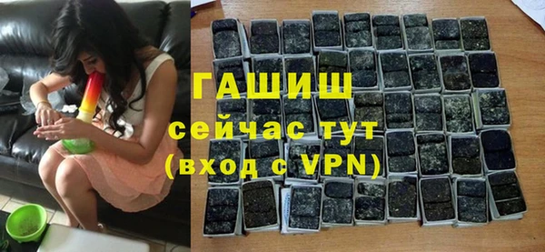 хмурый Магас