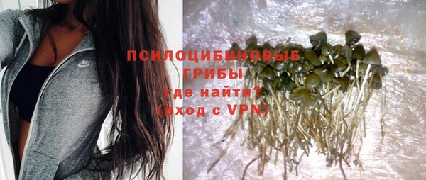 хмурый Магас
