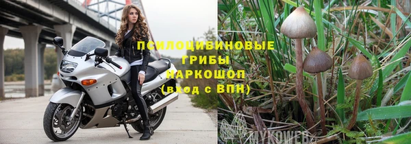сатива Майский