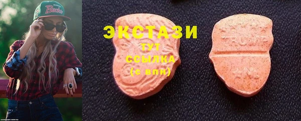 хмурый Магас